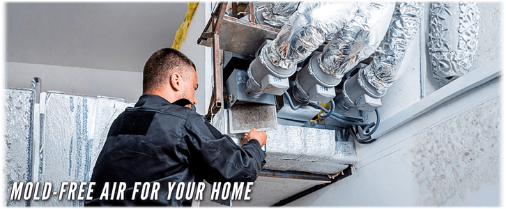 HVAC Mold Removal Waxahachie TX